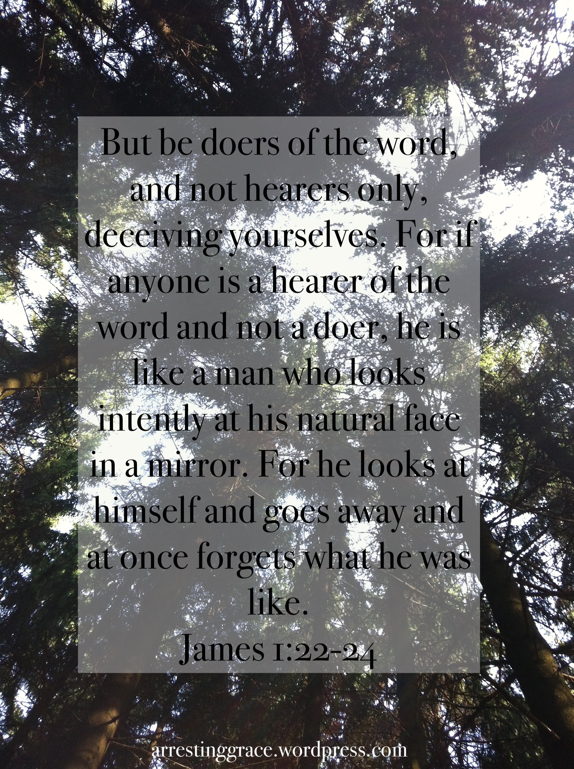 James 1:22-24
